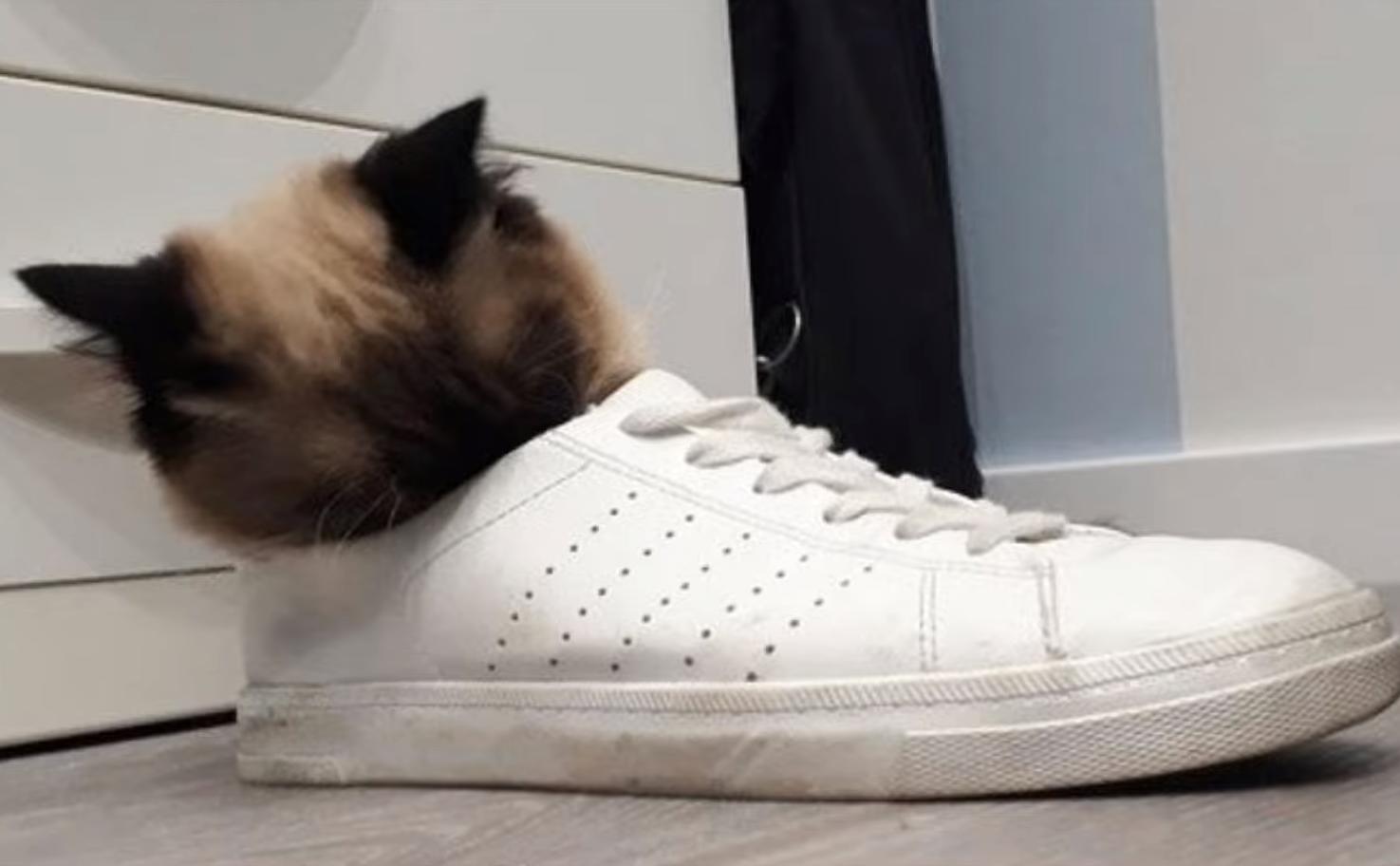 海之归墟|32张带有“误导性”的照片,你能一眼看明白吗?