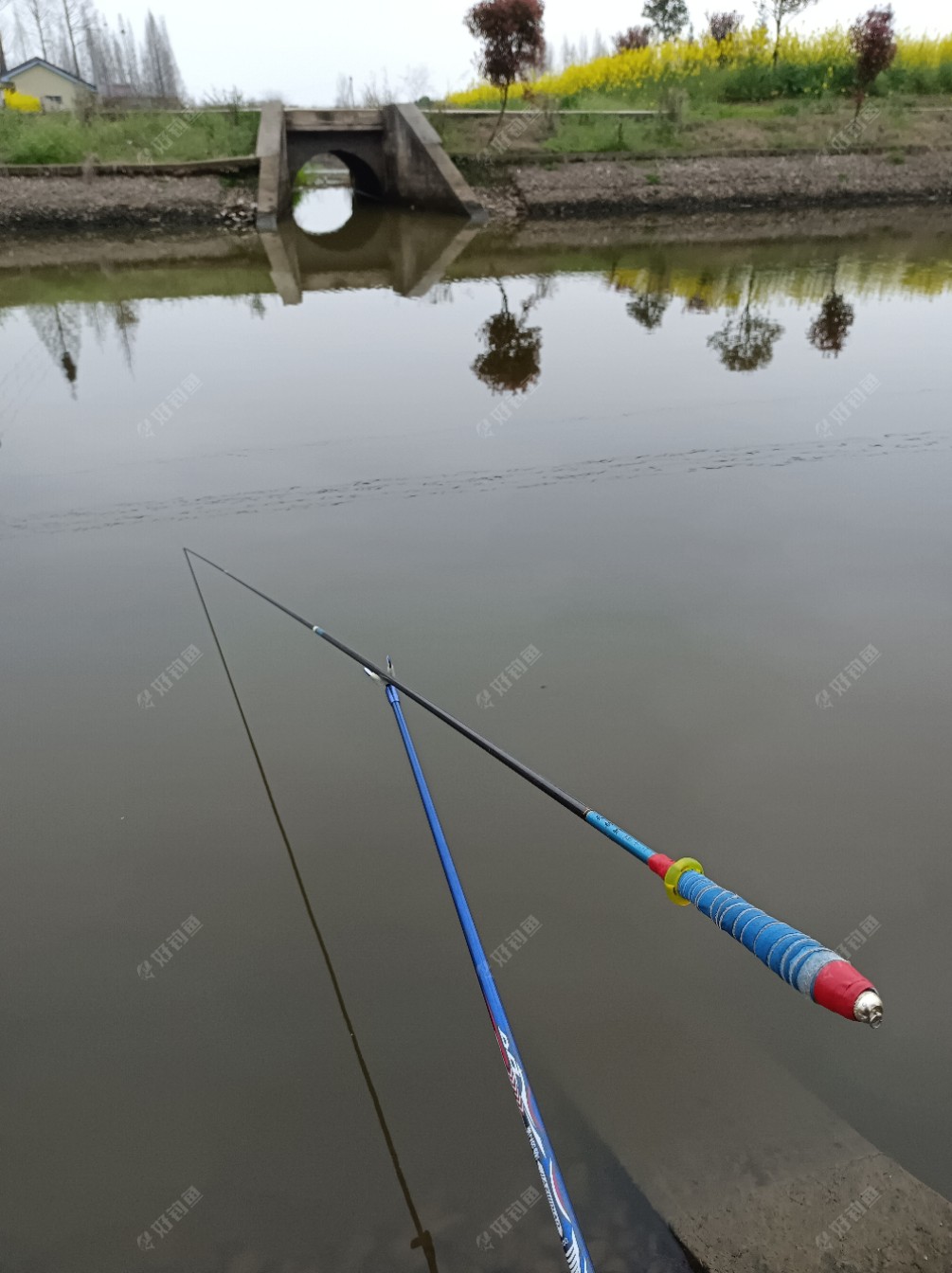 银行|[原创首发]下班后，菜地练竿鱼口超爽