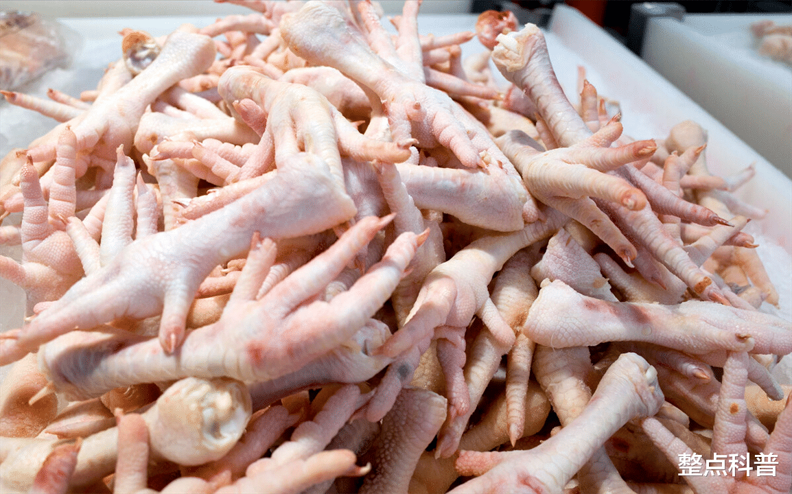 我国每年消费200多亿只鸡爪，市场源源不断的鸡爪是从哪里来的？