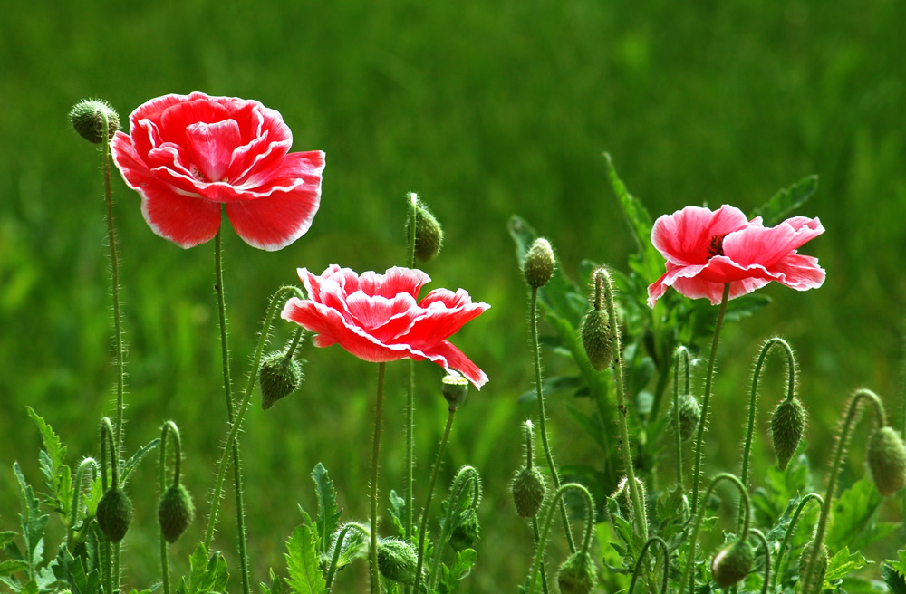 遇见小媛|真正爱一个人,就要学会相互成全