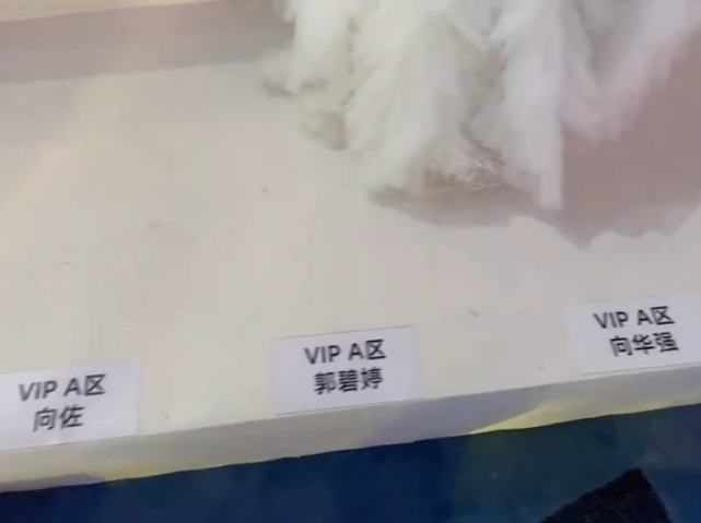 郭碧婷|向华强一家四口现身看秀！向太瘦了不少，向佐紧牵郭碧婷超甜