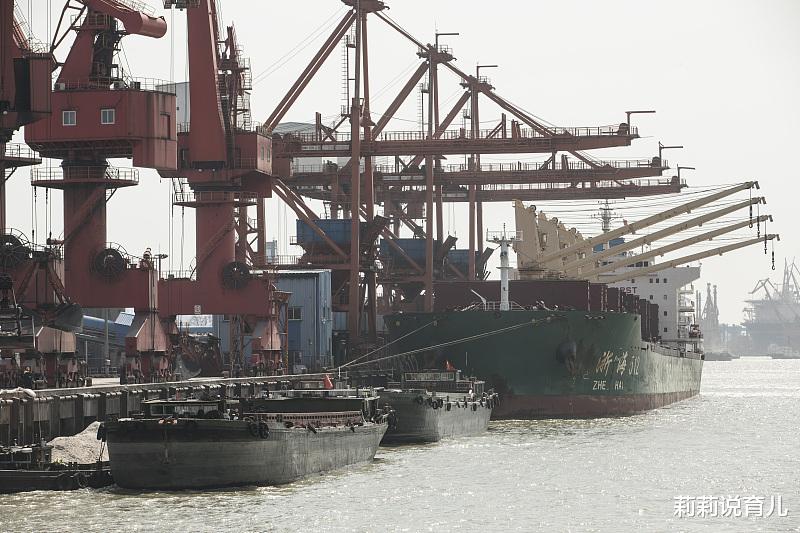 莉莉说育儿|江苏滩涂盐碱地超5000平方公里,是如何把它们变成亩产1200斤的良田肥地的?