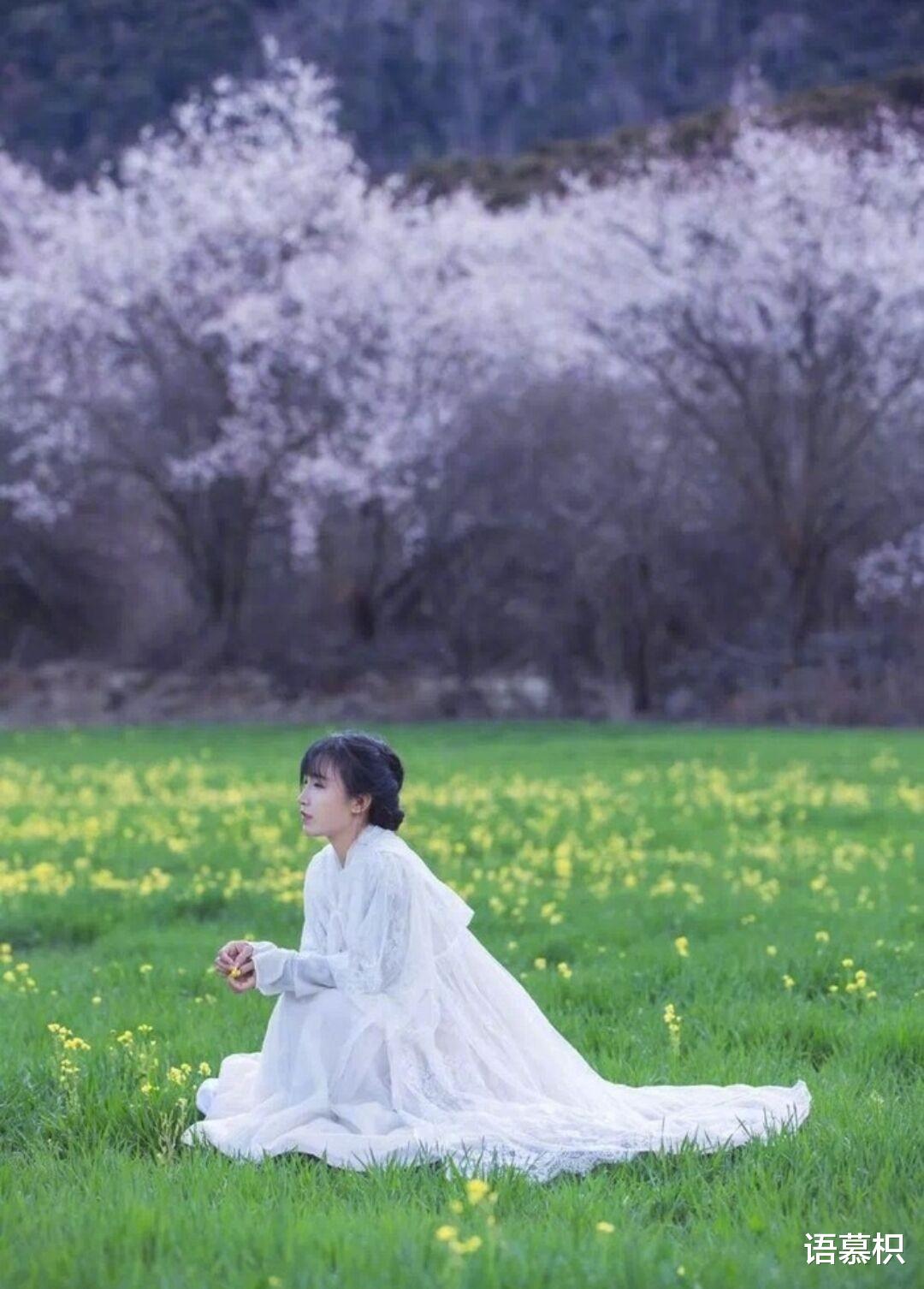 徐晓峰|失去账号和团队的李子柒,此后的路该怎么走?央视释放明显信号