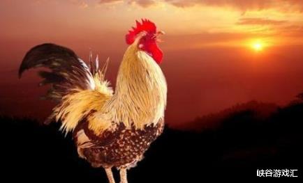 生肖|在6月人生逆袭的四大生肖，事业一帆风顺，好机遇在眼前