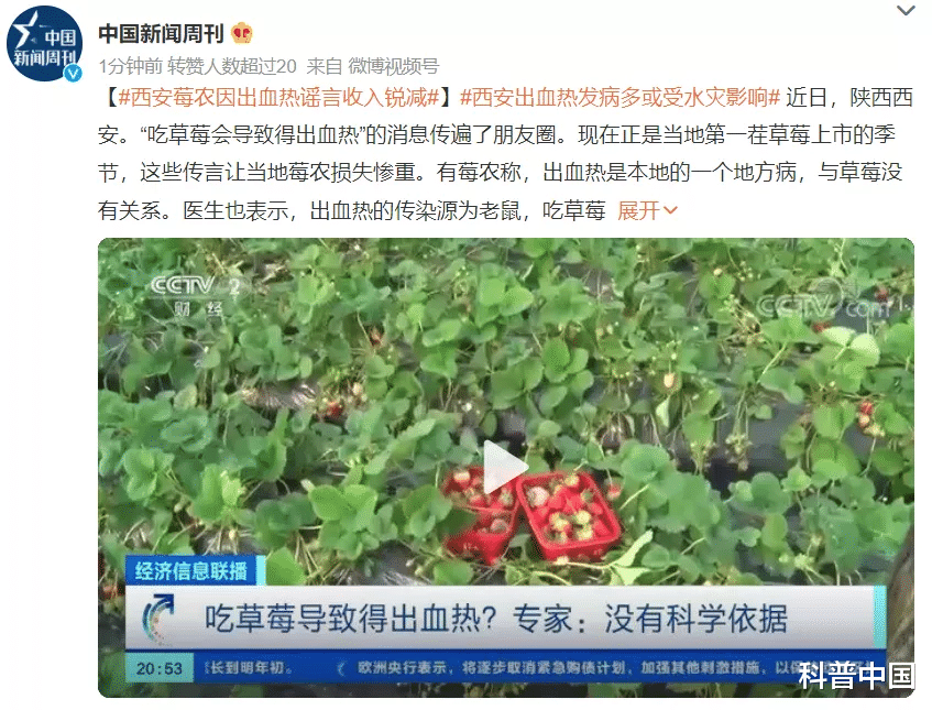 军团菌|吃草莓会导致出血热？这种传染病进入高发区，严重可致命