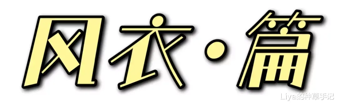 Liya的种草手记 基础款 + 大女人风，太迷人了