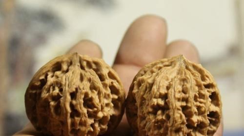 钱币|盘核桃不再需要3冬2夏了,这6种文玩核桃,上色包浆贼快!