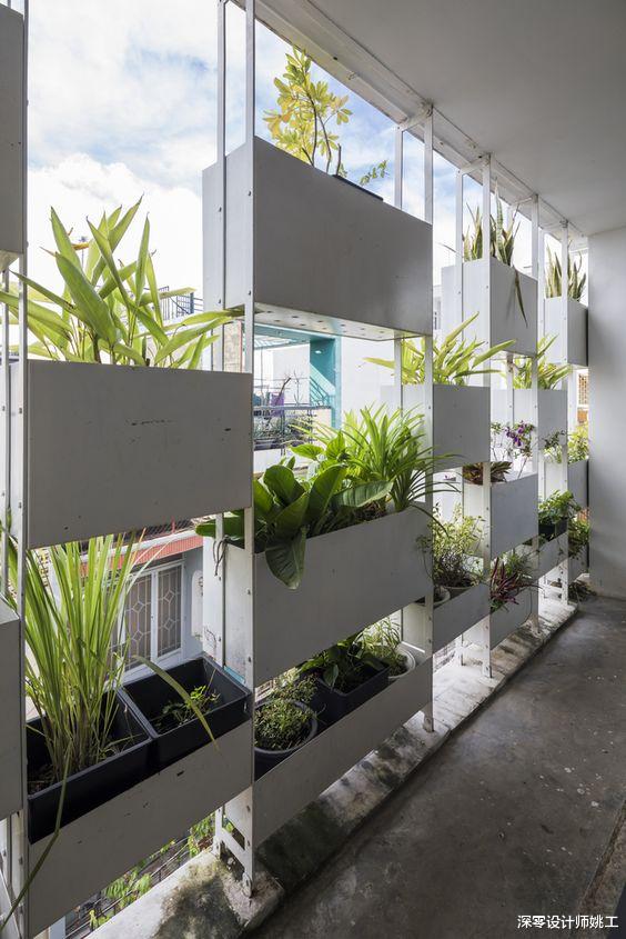 |不花钱买遮阳窗帘,靠绿植做窗前遮阳,室内外分分钟成了天然氧吧