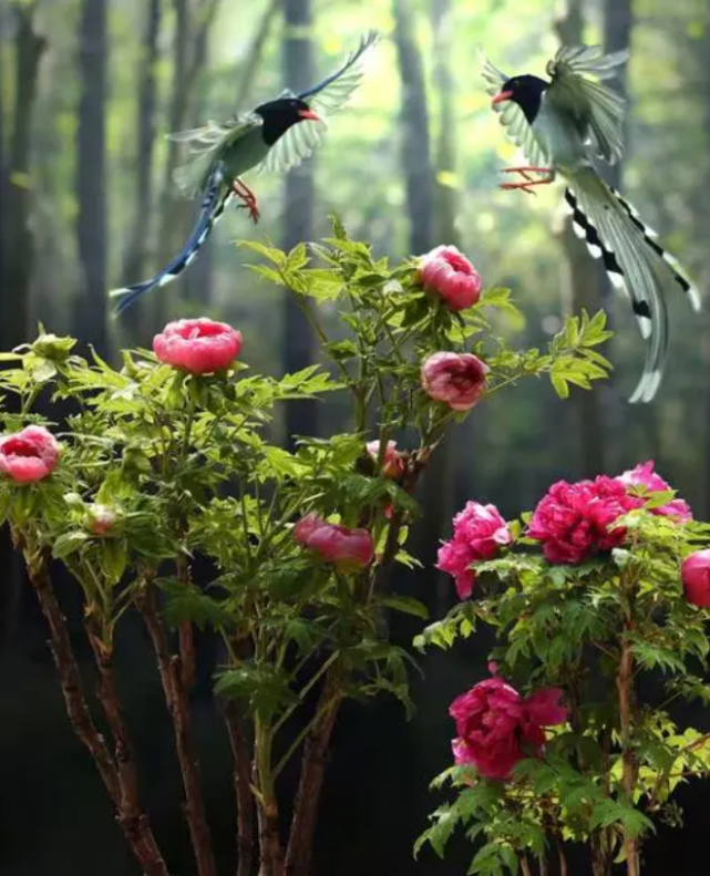 星座风水算命馆|7月8号开始告别霉运，好事随之而来，福满财多，开启幸福的生肖