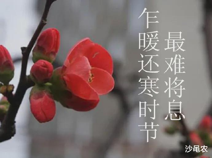 股市|04.23股市早8点丨A股，于无声处听惊雷？