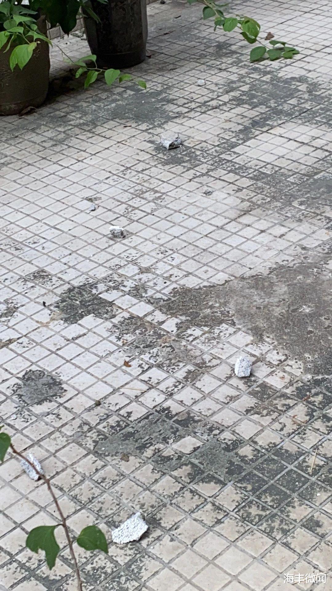 海丰某小区竟天降石头