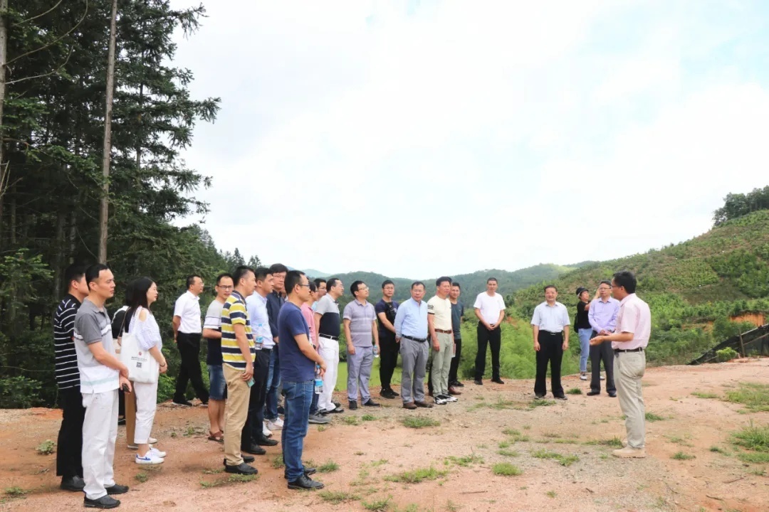 红色文化 【授牌仪式】福建师范大学授予上杭白砂国有林场“课程思政教学实践基地”荣誉牌