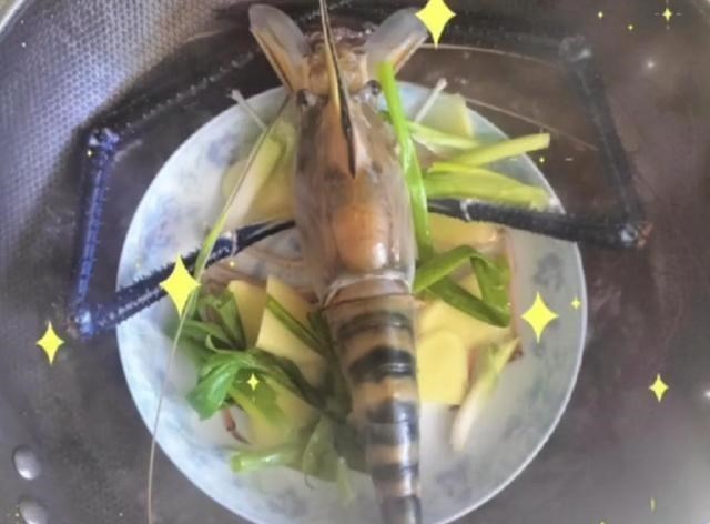 嘉兴|巨虾来袭，嘉兴祥和蕩内大虾王被人钓起，疑似外来变异物种