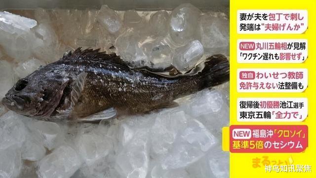 日本|?来日本奥运踢场子？韩国代表团亮出抗日口号，日网友：赶紧断交吧