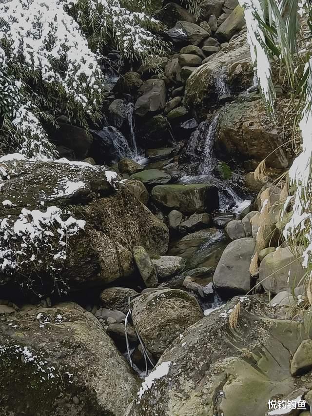 医生|当年的钓点早已无鱼可钓,但鱼就在水中,真正的垂钓者都能看见