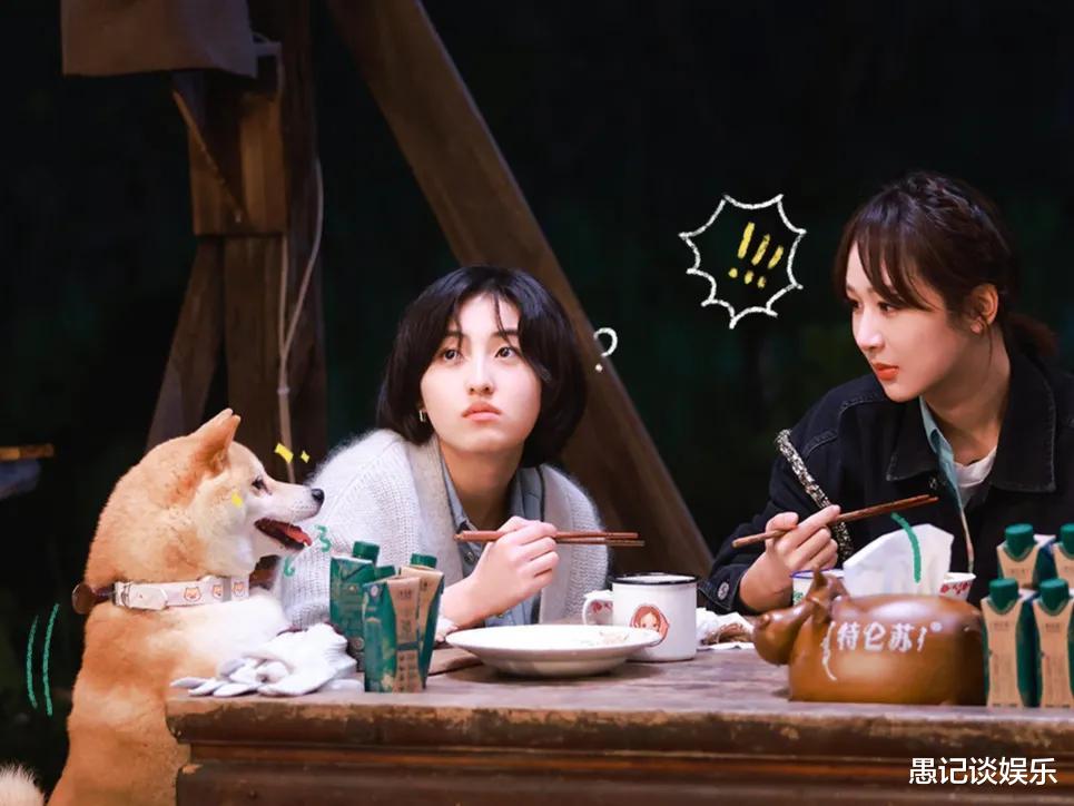 杨紫|前有周迅，后有杨紫，在蘑菇屋住两晚的嘉宾，观众反应大不同