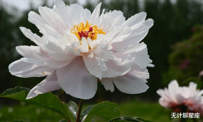 无计聊星座|未来四年，4个星座，常有贵人帮，事业突破壁垒，前程似锦