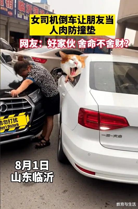 山东省 山东两件奇葩事