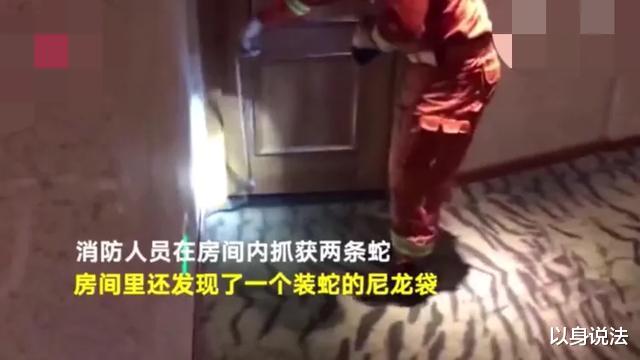 男子用毒蛇胁迫陌生女子发生性关系后,男子被毒蛇咬伤中毒身亡