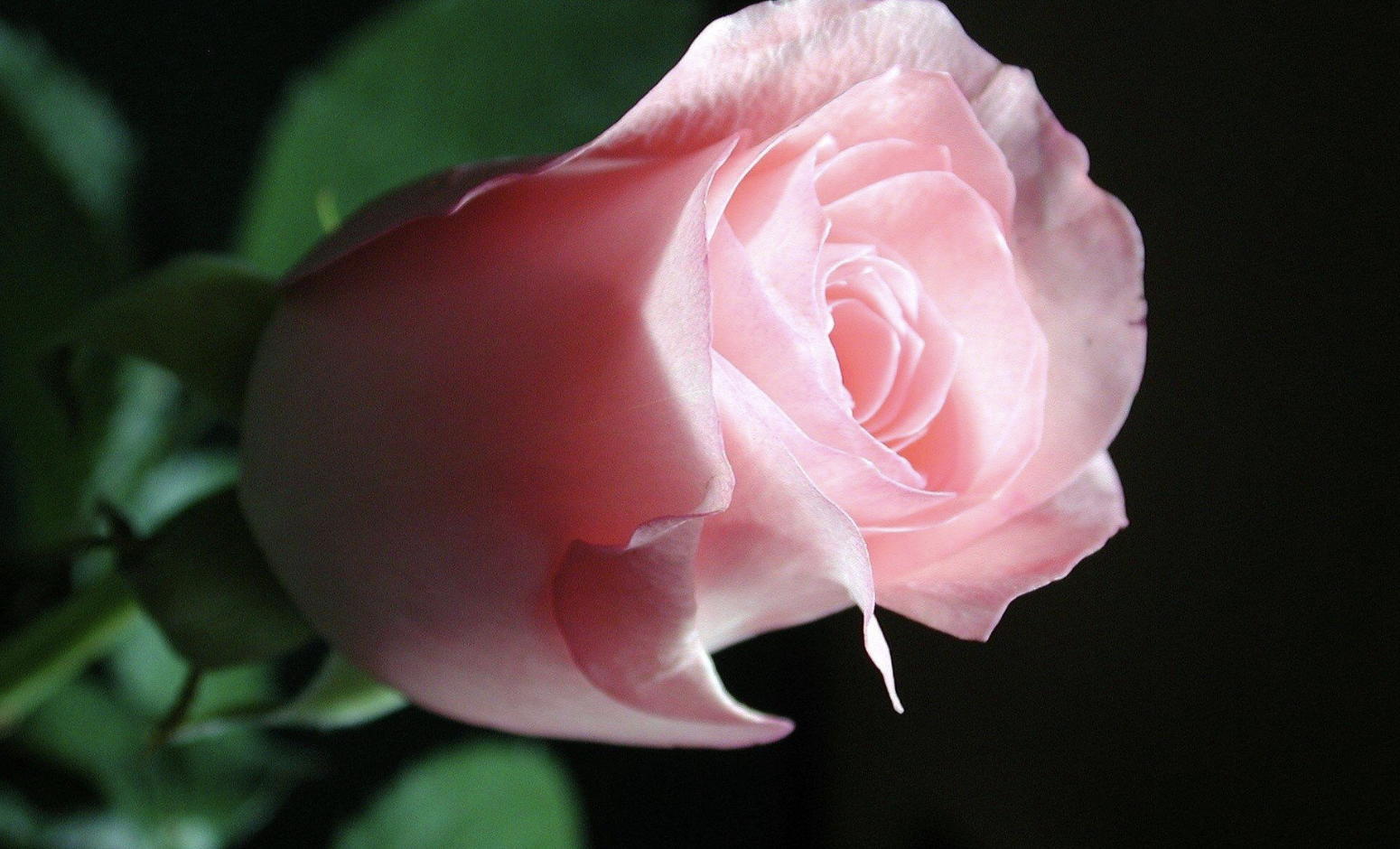 求职|8月底，生意兴隆，职场顺遂，贵人暗助，3生肖存款翻番，苦尽甜来