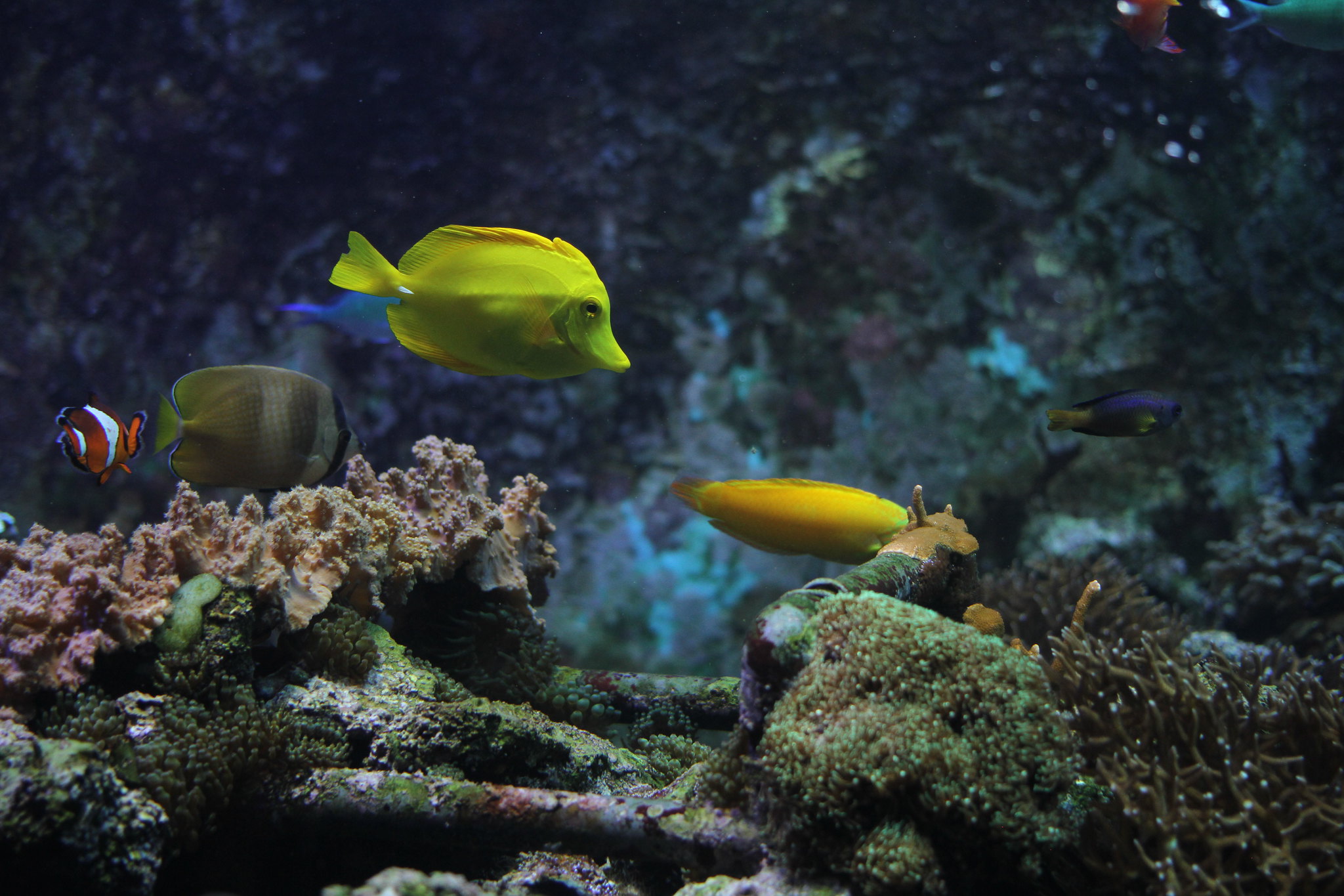 |温差对上钩率的影响（精髓）