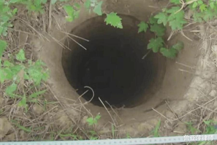 民警 恶之花，因妻子出轨而引发的血案