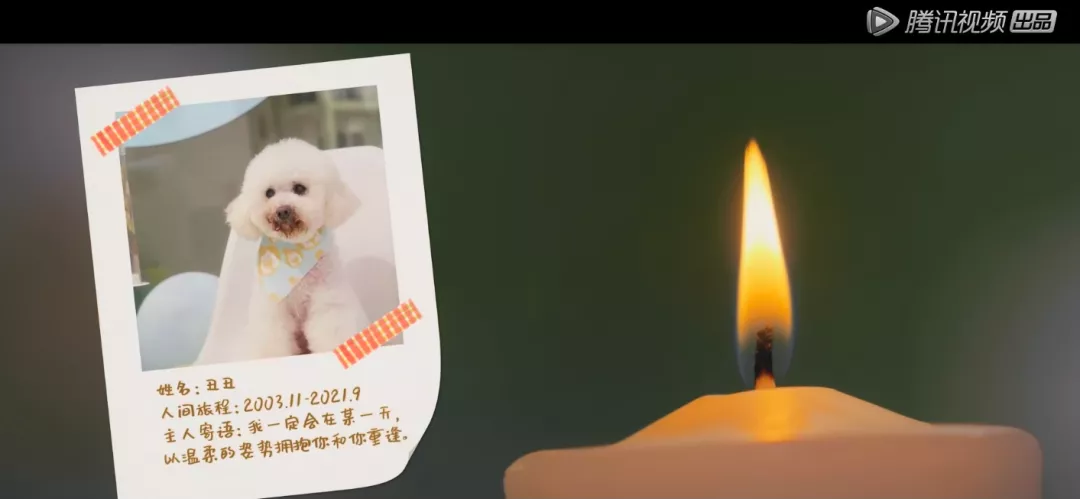 欧阳娜娜|欧阳娜娜连办3场葬礼哭上热搜，9000w网友绷不住了：这样的告别我没想过