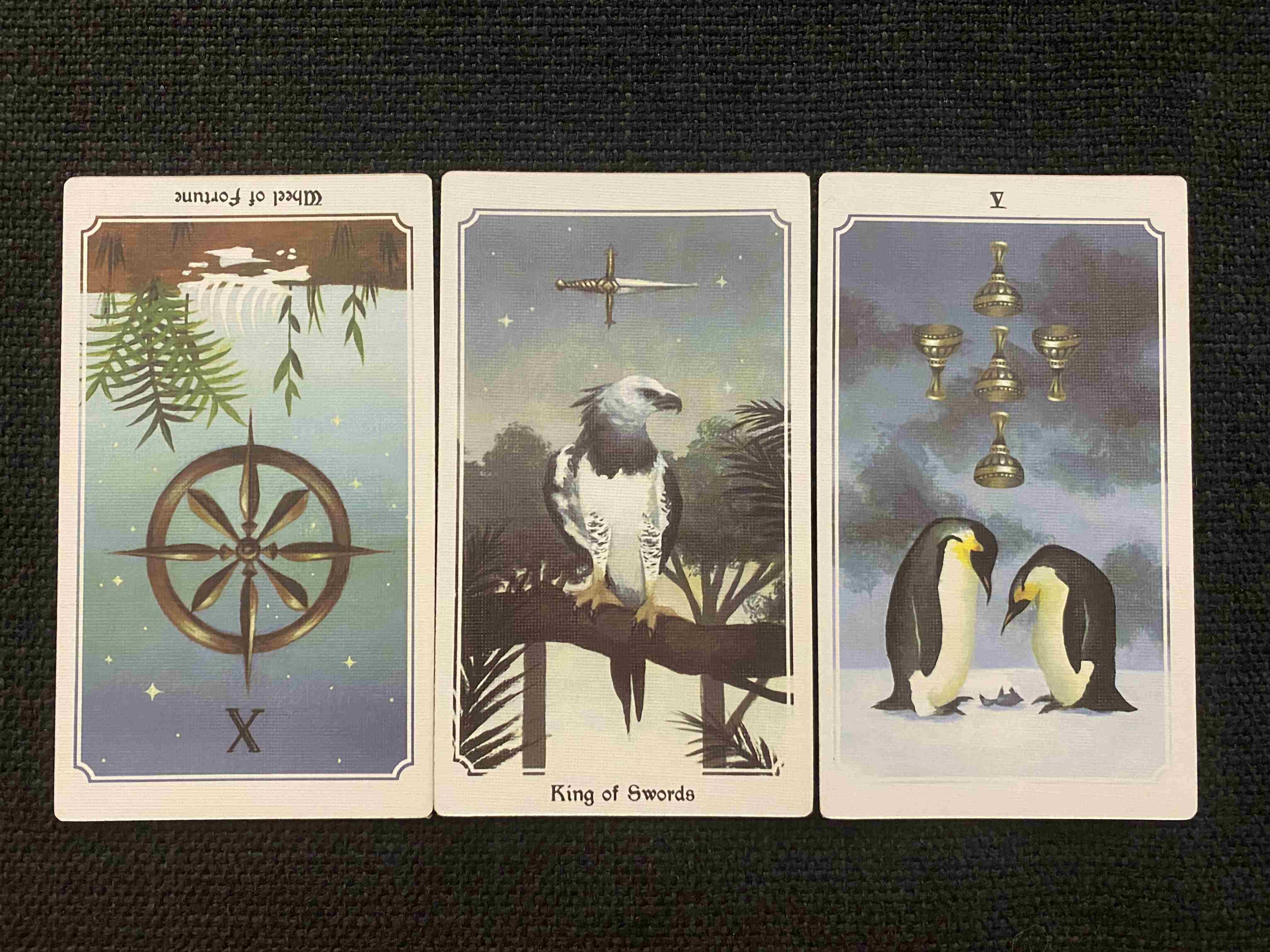 莫莫塔罗|莫莫塔罗，双鱼座未来60天情感：给你的救赎，付出一百分真心