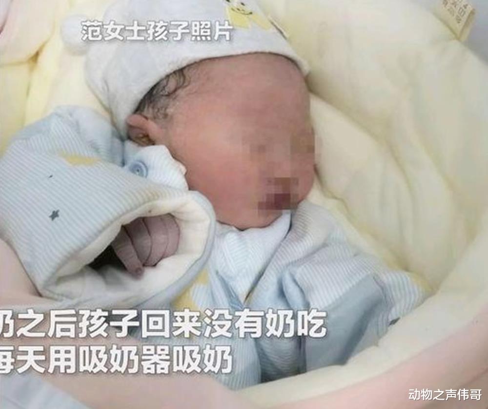 |“想要孩子先还彩礼”！女子生产当日丈夫抱走娃