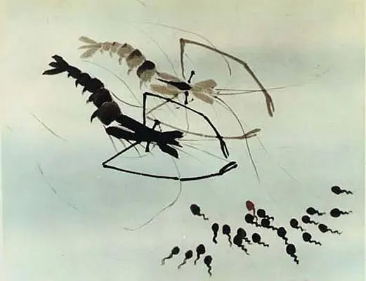 白月儿|《白月儿》的出现，是中国动画人复兴传统内容形式的坚持 | 新国漫研究所