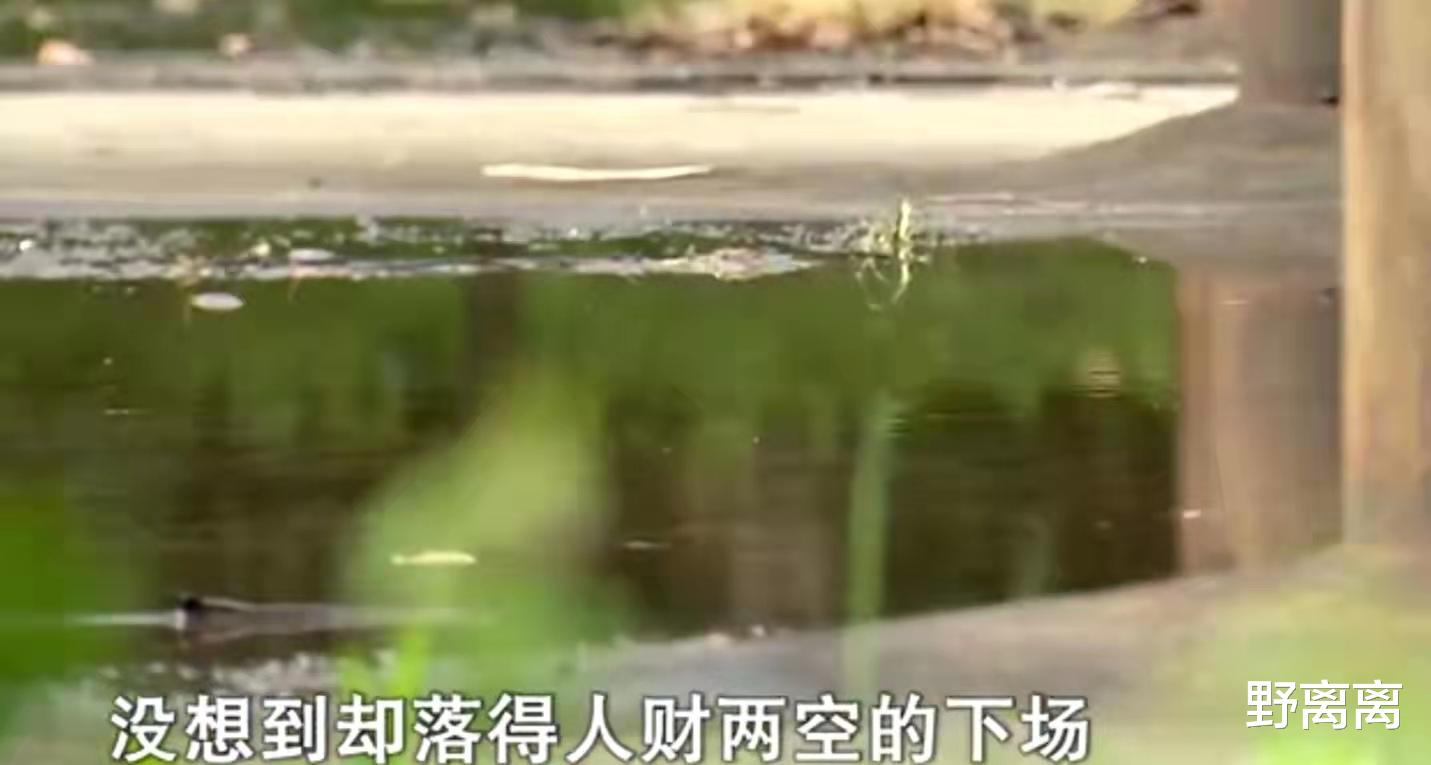 亲家母变老婆!10年后因嫌对方管得太宽,七旬大爷要提出了离婚