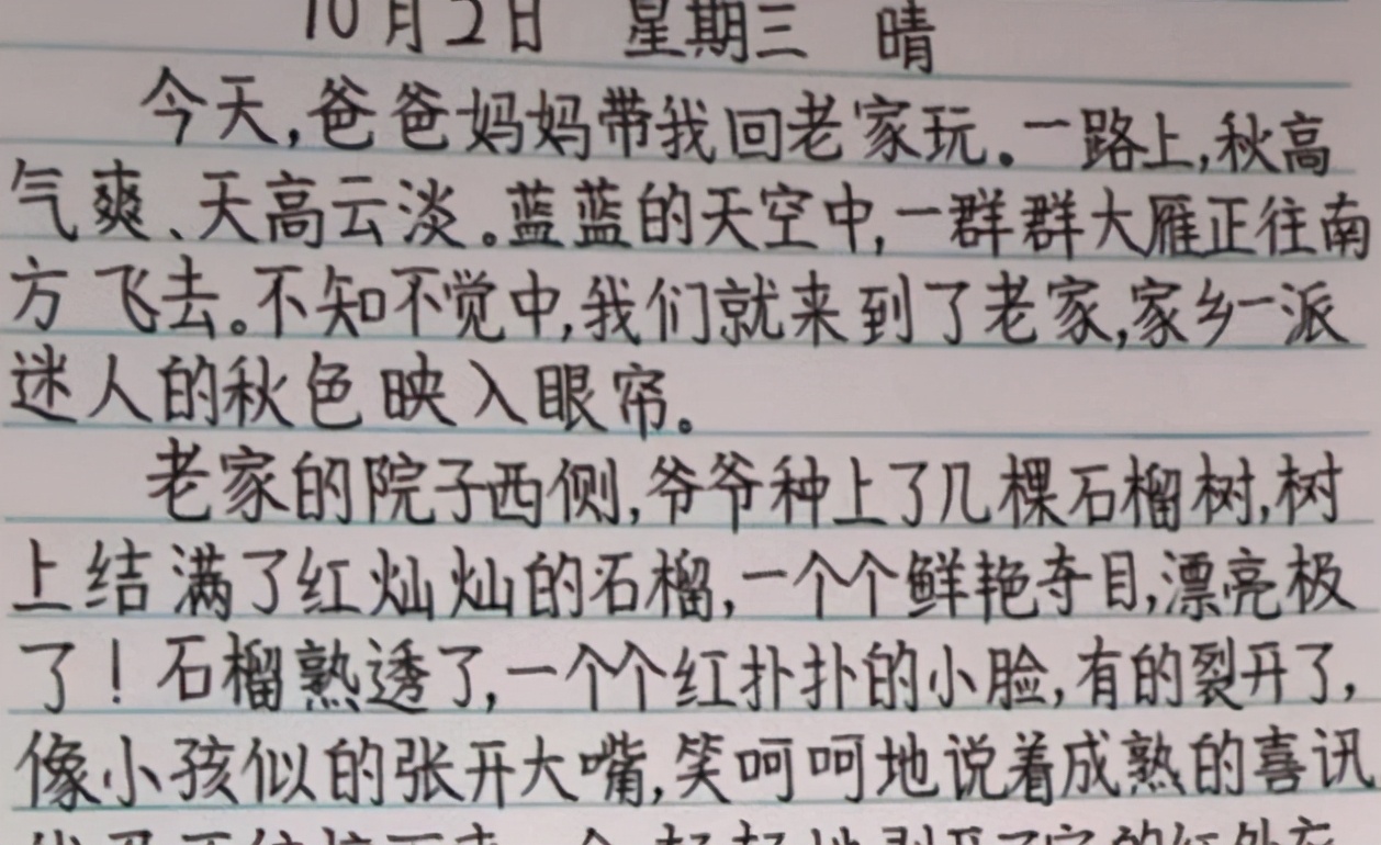 董卿|“董卿体”字迹走红，飘逸洒脱力量感十足，学生喜欢老师却不待见