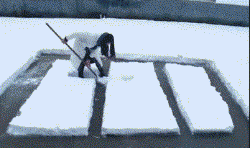 动物庄园|清朝也没有手机，那些王爷是怎么打发时间的？