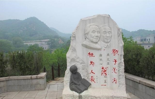 冰心|冰心纵容儿子悔婚出轨？墓碑被长孙涂8字辱骂，他们家族有何丑闻