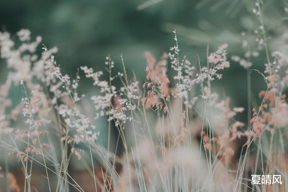 兄弟姐妹|兄弟姐妹之间，关系再好也不要帮这三种忙，否则就会成仇人