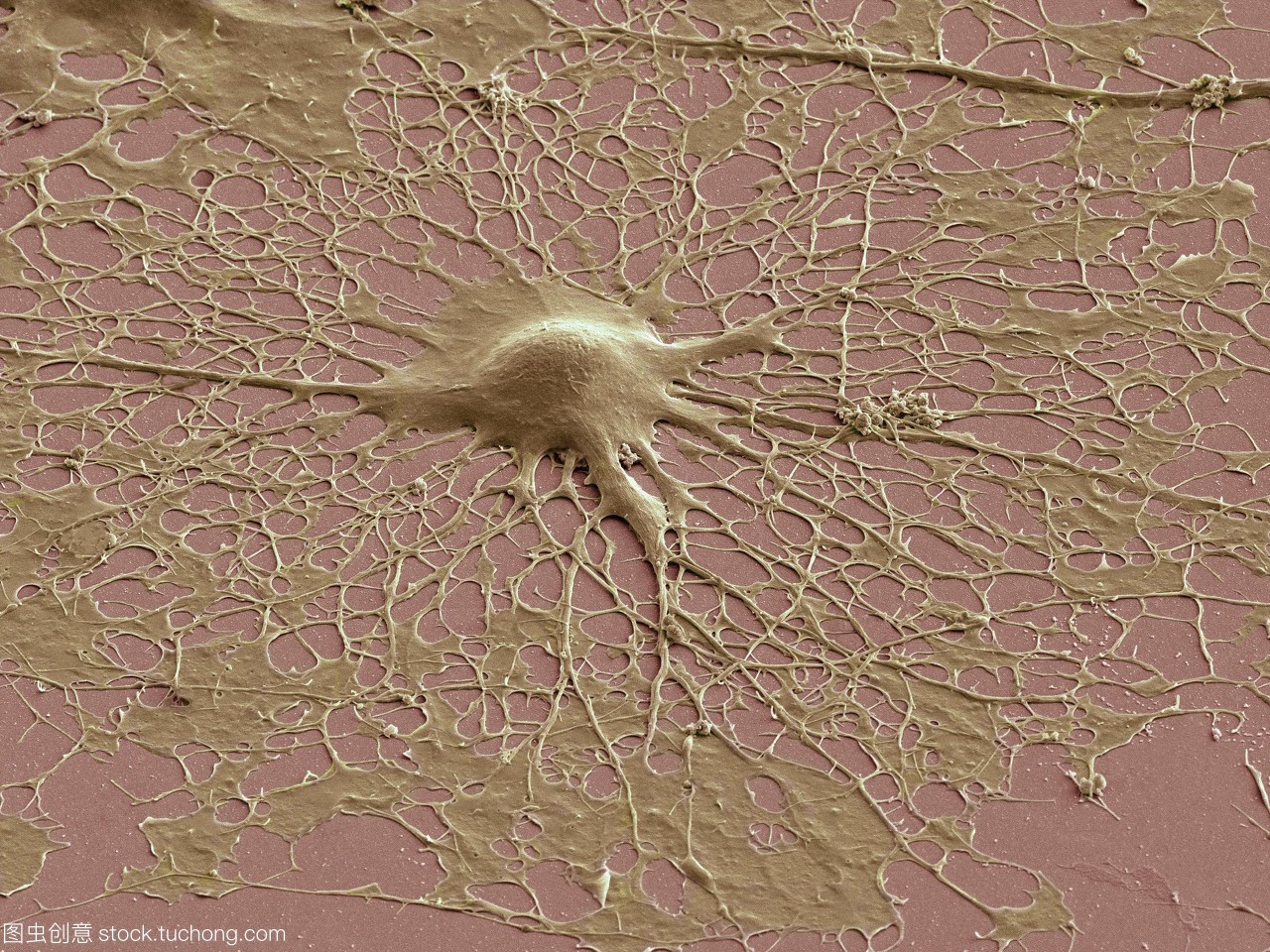  思维物质是无形的