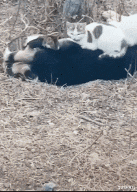 大学生|“华为1996年的招聘广告，大家自己感受一下！”哇哈哈哈哈～