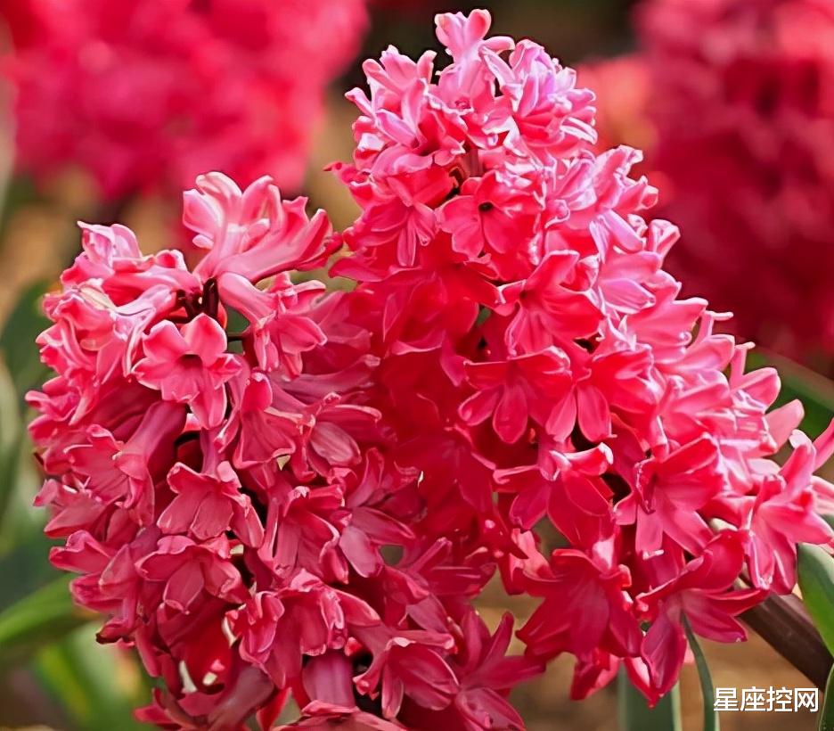 心理测试|哪几个月份出生的人，不怕事业没前途，大胆向前出路广，人生赢家