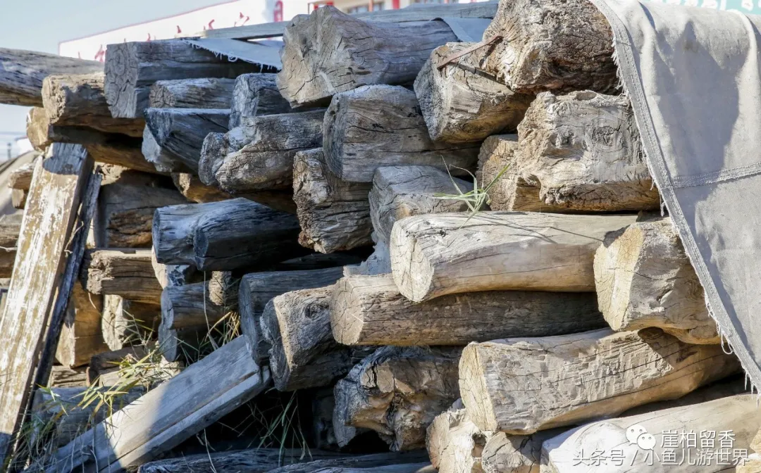 |崖柏用来做棺材是真的吗？