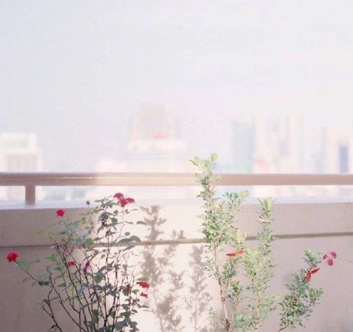 不爱换微信头像的人，基本上都有这3种心理，看看你是哪一种？