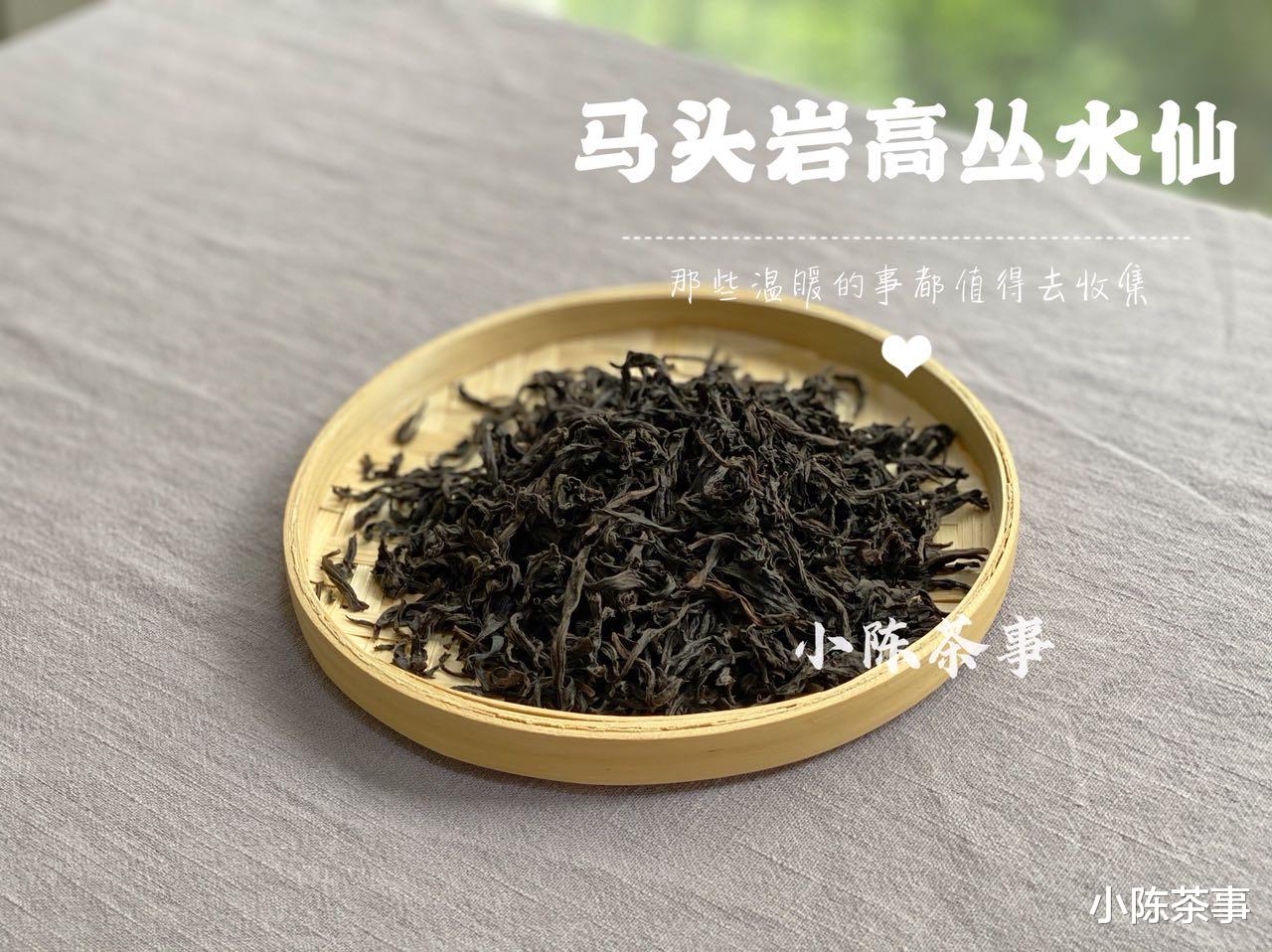 黑豆|日常泡茶時，多少度水溫最合適？綠茶、白茶、紅茶的水溫相同嗎？