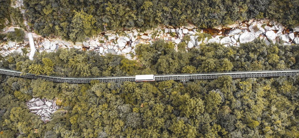 奶球妈咪聊|庐山一处宝藏瀑布，乘坐森林小火车进入，路上还能一睹“李白石”