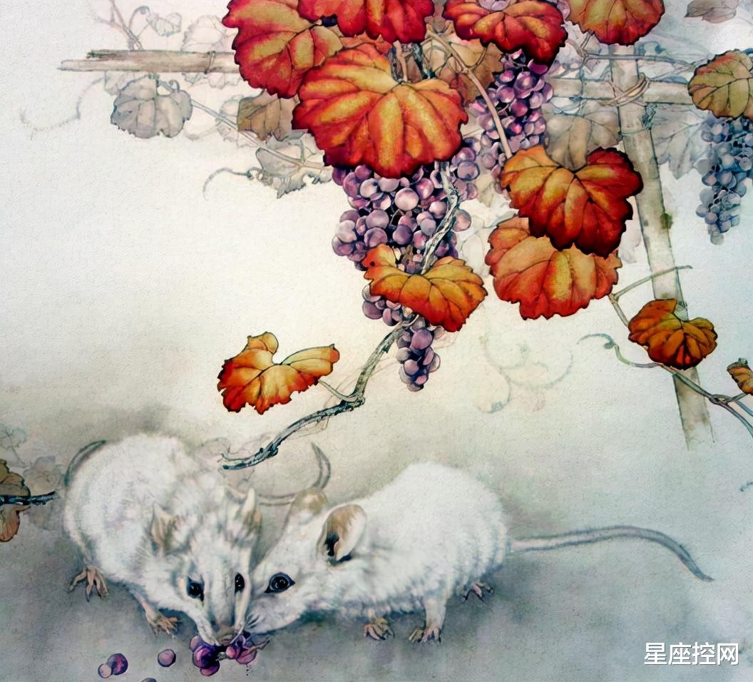 招聘|哪几个生肖耐心等待时机，打牢事业基础，未来人生逆袭，价值提升