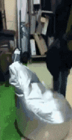 萌萌萌说|“爷爷说我家曾经很有钱，直到看见爸妈的结婚照我才信！”哈哈哈