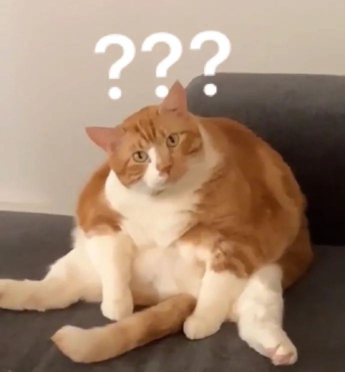  运钞车司机：耍个酷咋钱没了