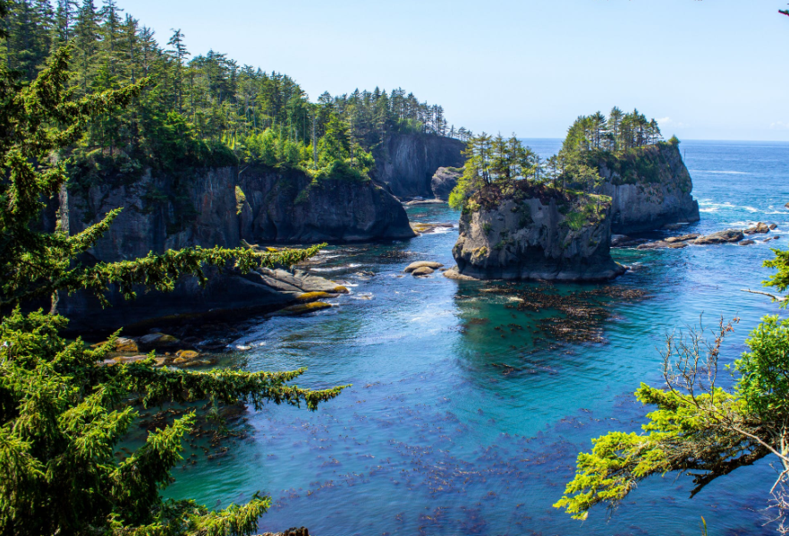 星座叶大仙 实属人精的星座，人群当中的老油条，深藏不露，却偏偏装傻充愣