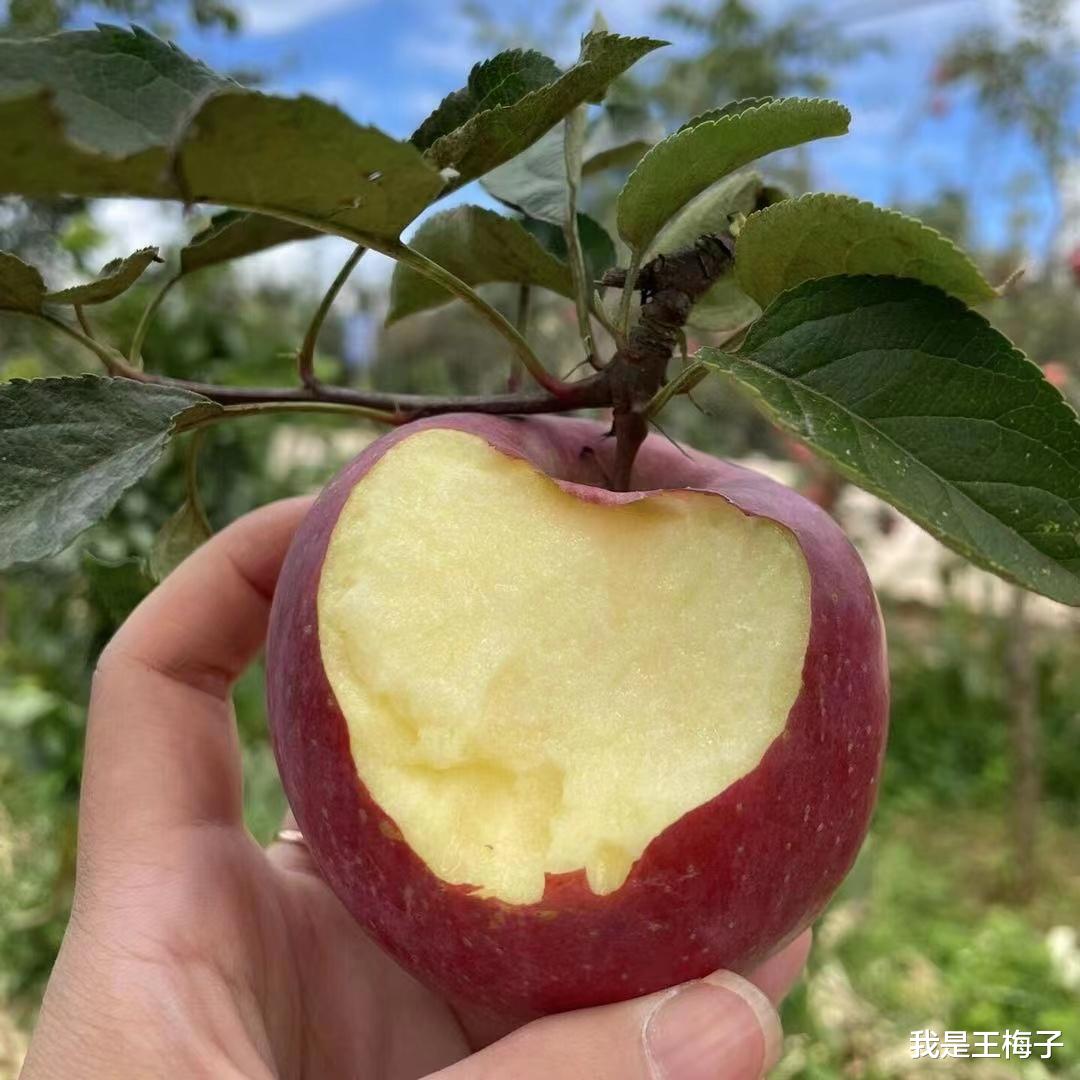 水果|建议大家：遇到这种“丑水果”，见一次囤一次，外表丑，却巨好吃