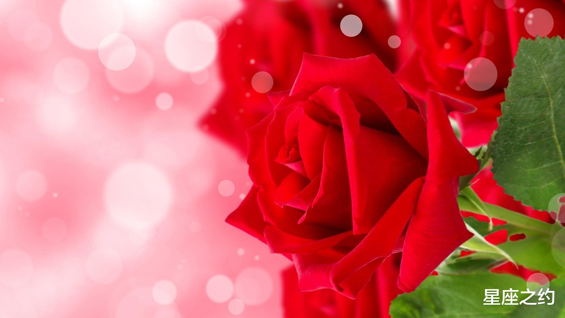 星座之约|在9月下旬,笃定情缘,心意相通,爱意盛涌的三大星座
