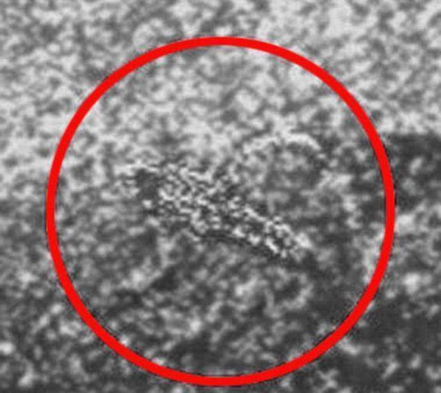 科学家 前苏联科学家认为金星在八百万年前曾有过光辉灿烂的文明是真的吗？