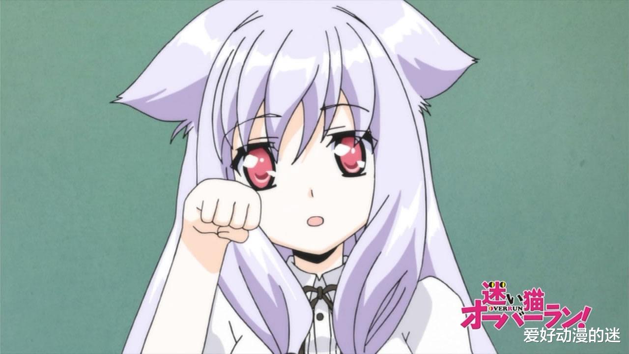 acgn漫评|青梅竹马是傲娇，天降美少女像只猫娘，这部10年前的动漫看点有点多
